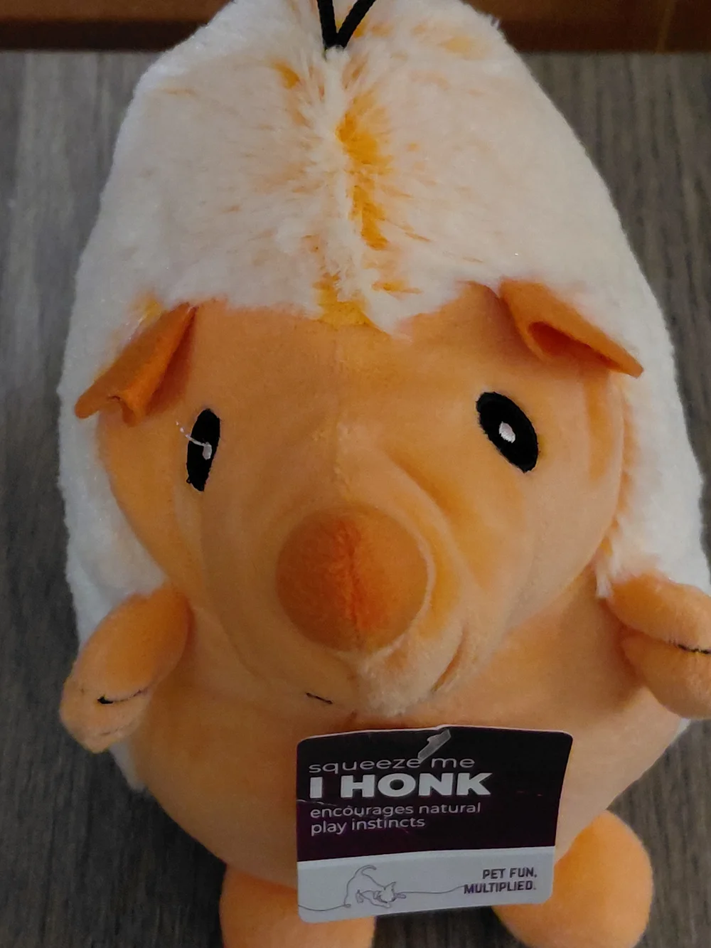 Multipet Squeeze Me I Honk Plush Dog Toy - Orange